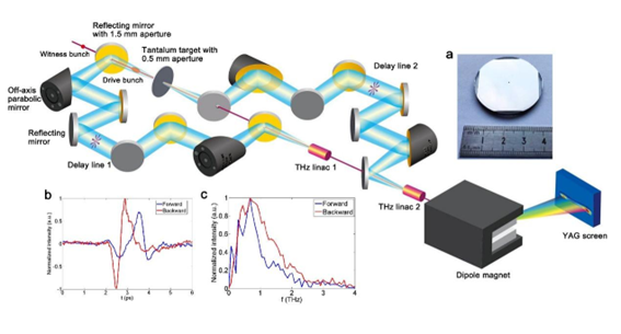 太赫茲光開關(guān)非侵入式醫(yī)療檢測示意圖 太赫茲光開關(guān)非侵入式醫(yī)療檢測示意圖