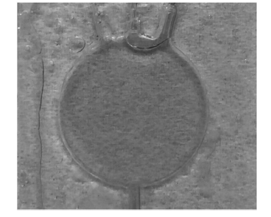 微流控光開關(guān)在實際應(yīng)用中的效果，包括不同流速下的遮光形態(tài)及透光/遮光對比  - 廣西科毅光通信